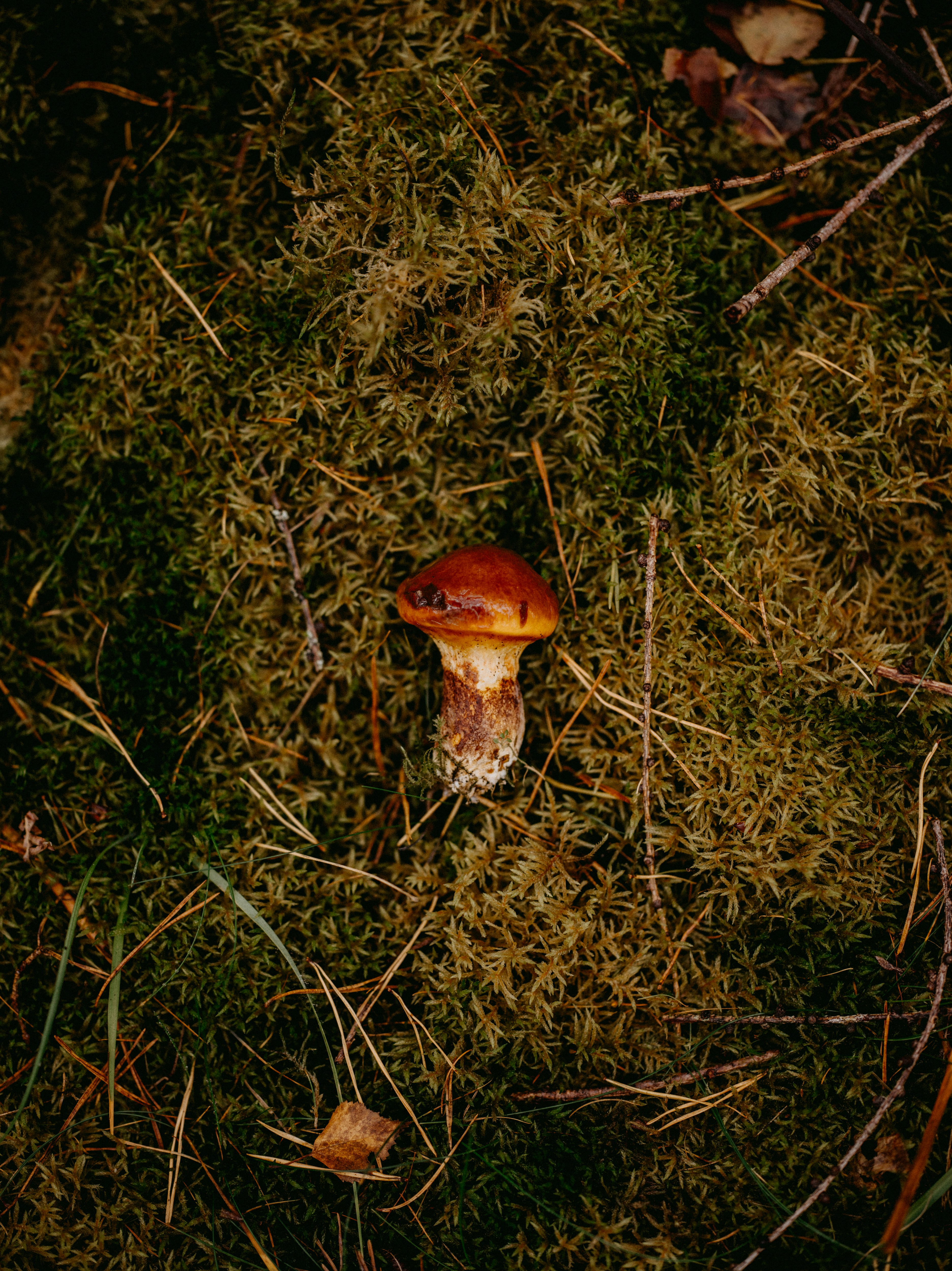 Photo by anniespratt