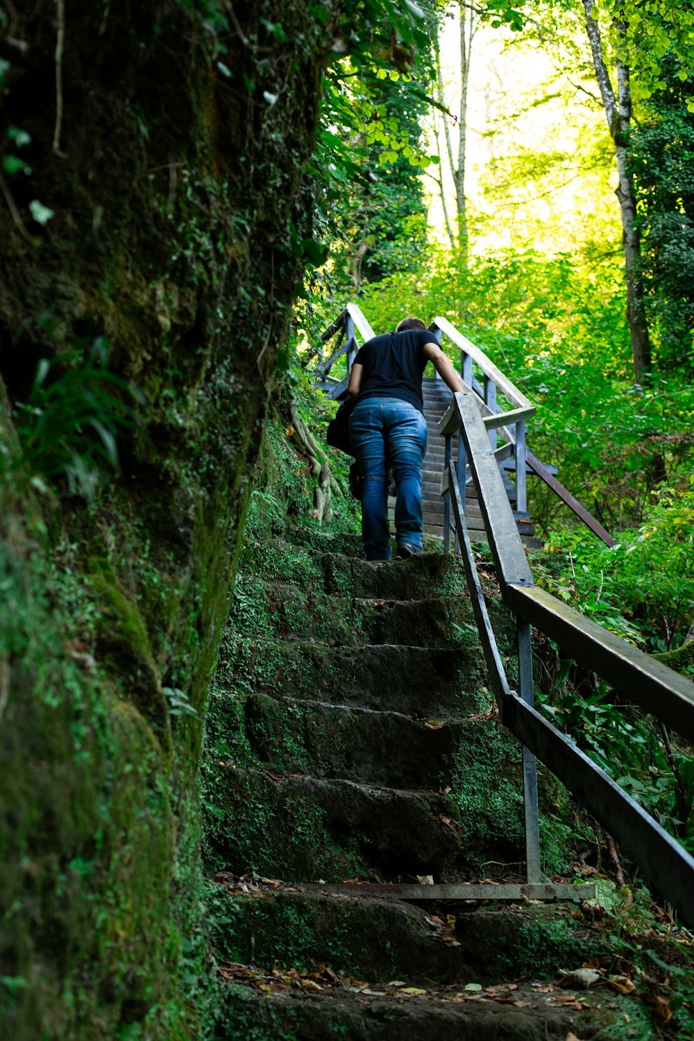 a man walking up a set of stairs in the woods