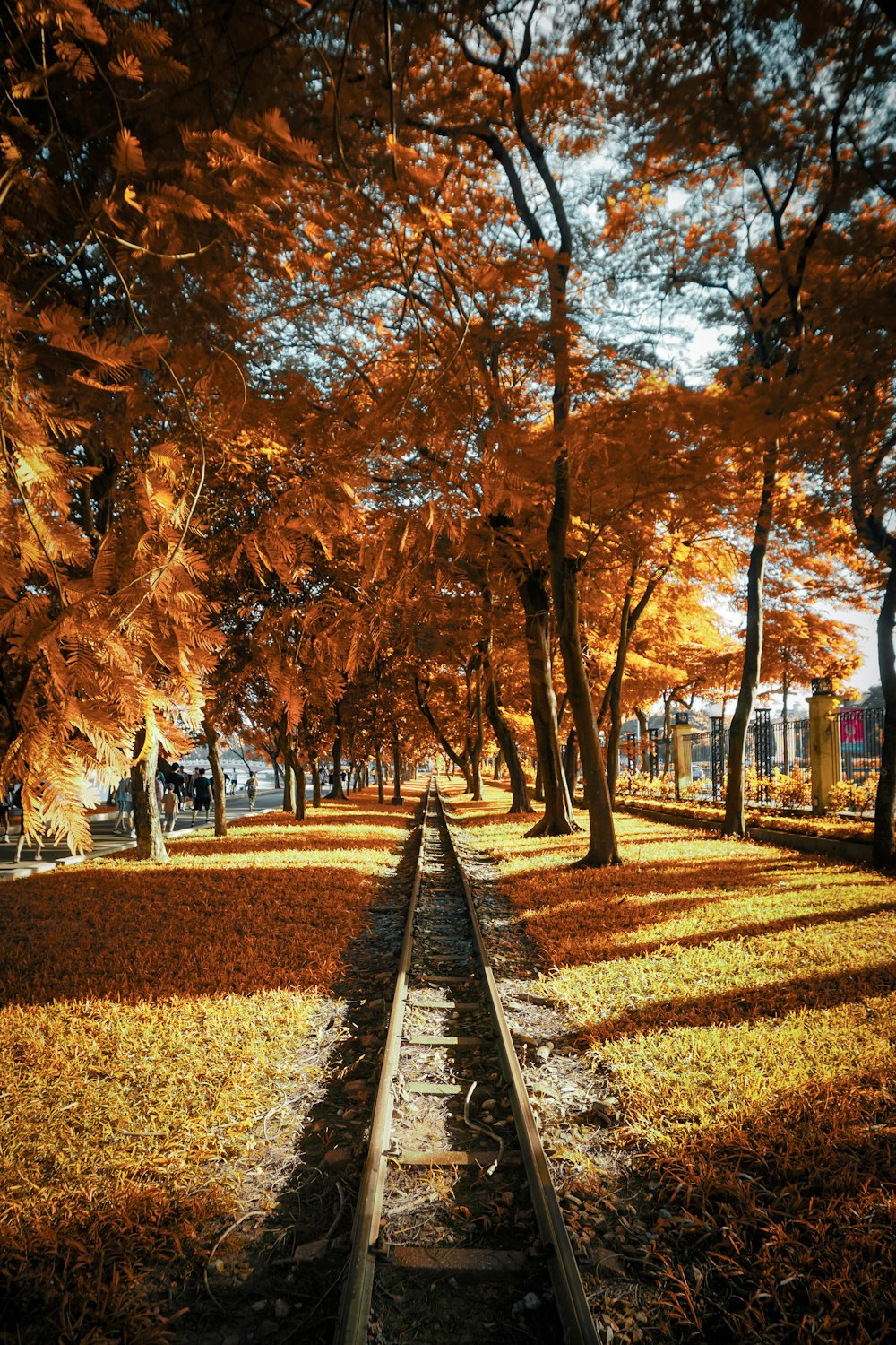 a train track running through a park filled with trees