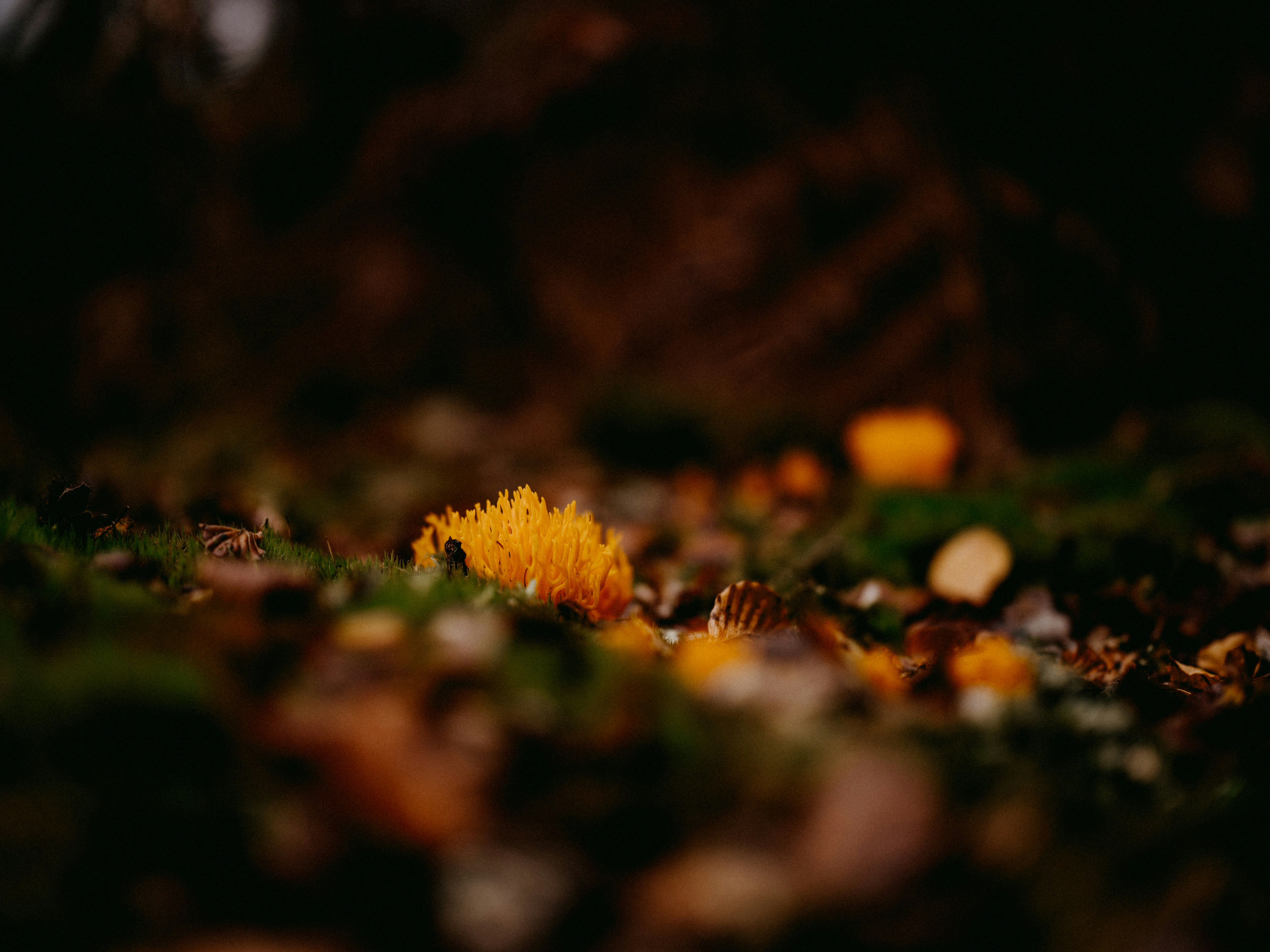Photo by anniespratt