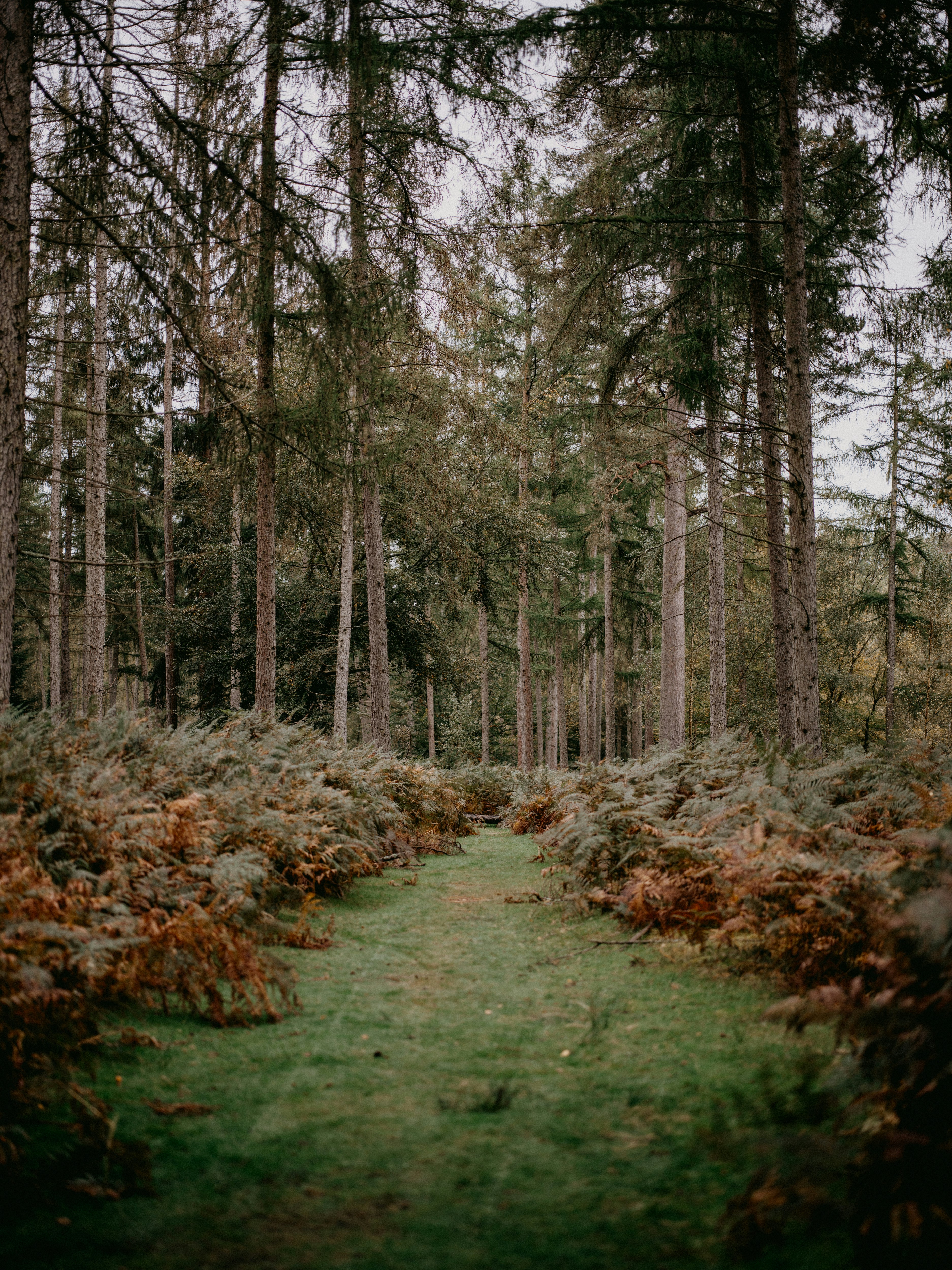 Photo by anniespratt