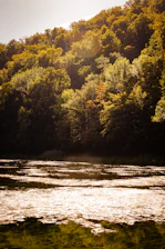 Golden sunlight filters through ancient trees by Erhai Lake, casting warm reflections on the water’s surface.