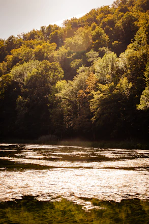 Golden sunlight filters through ancient trees by Erhai Lake, casting warm reflections on the water’s surface.