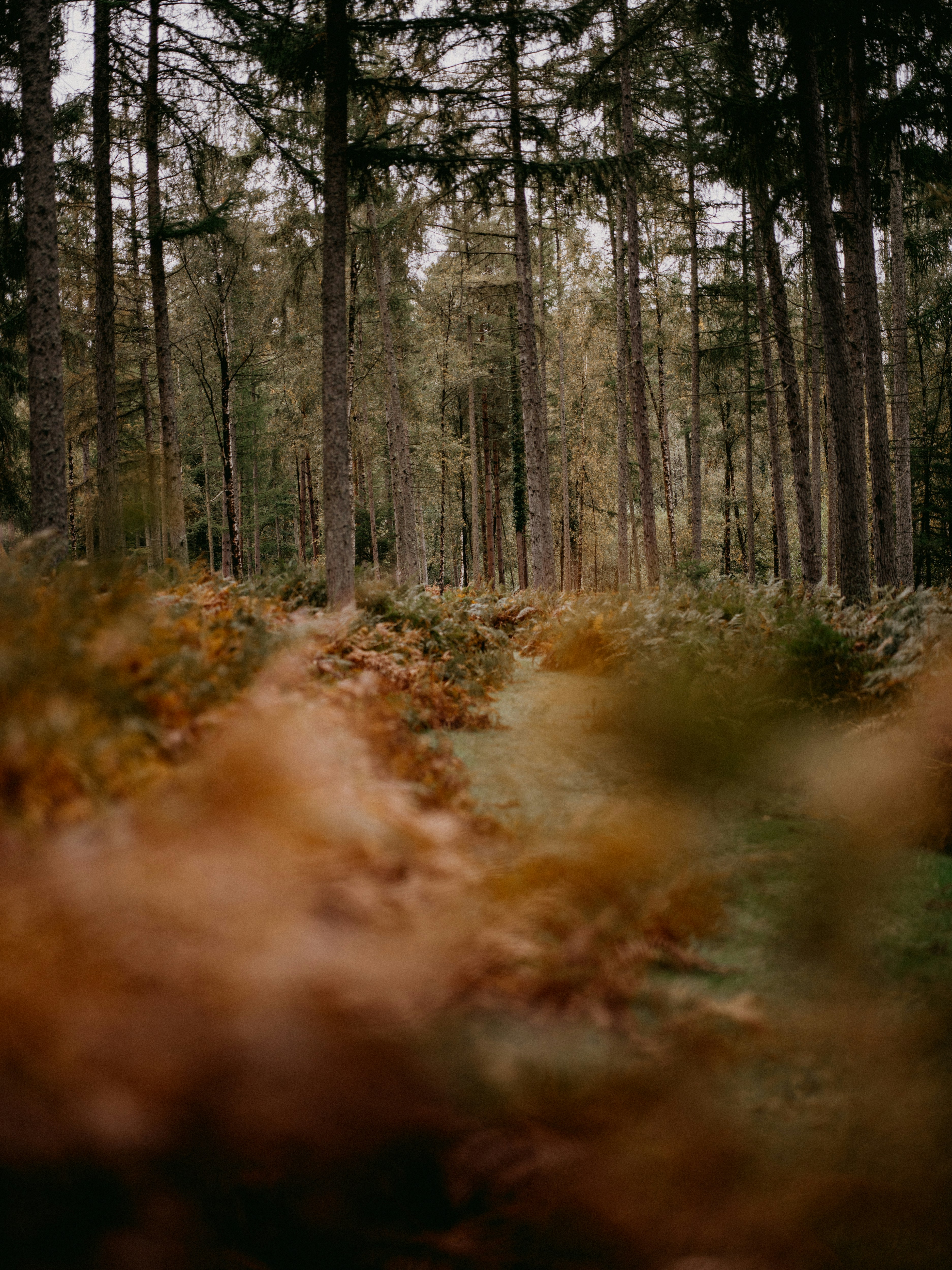 Photo by anniespratt