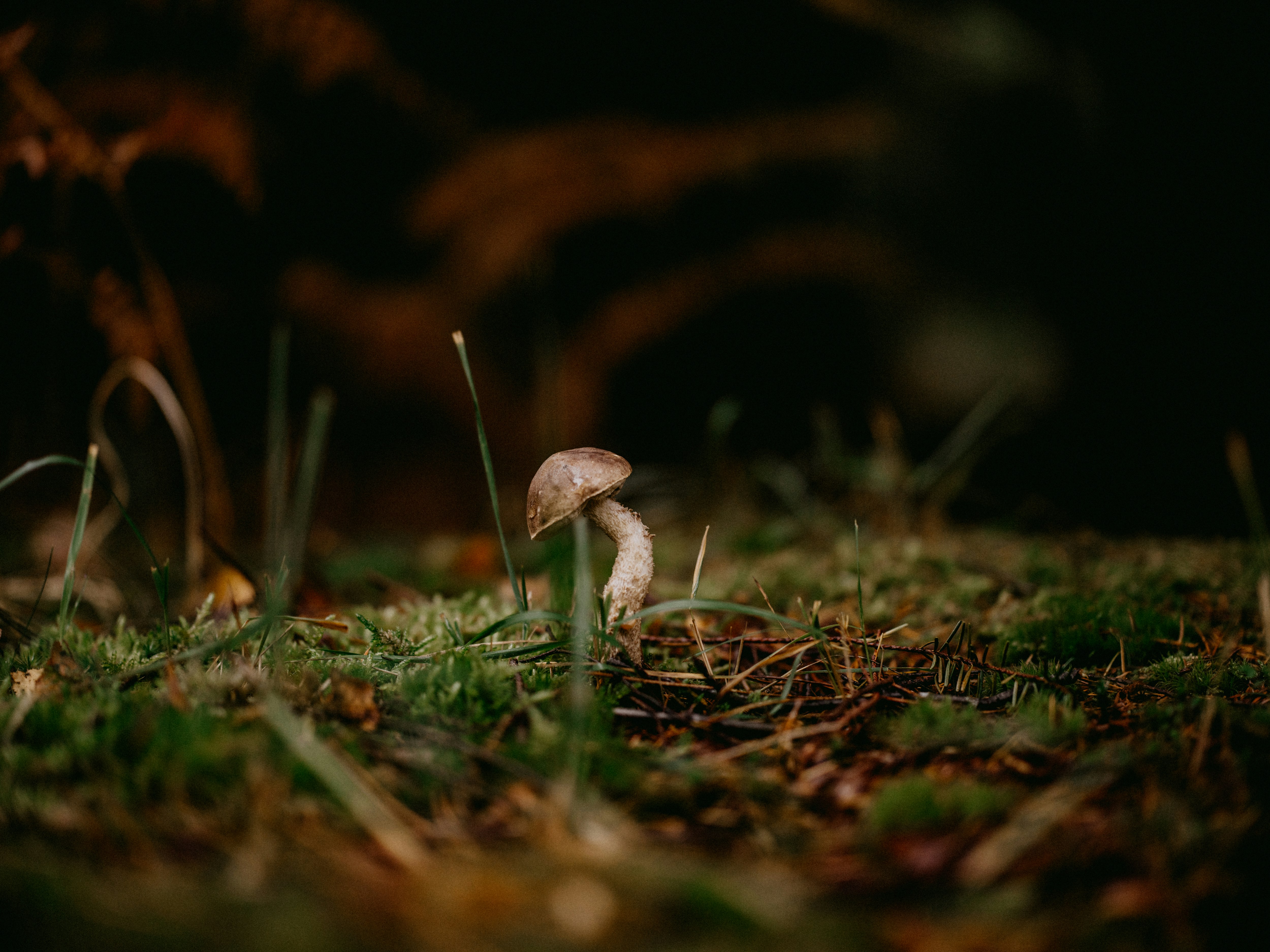 Photo by anniespratt