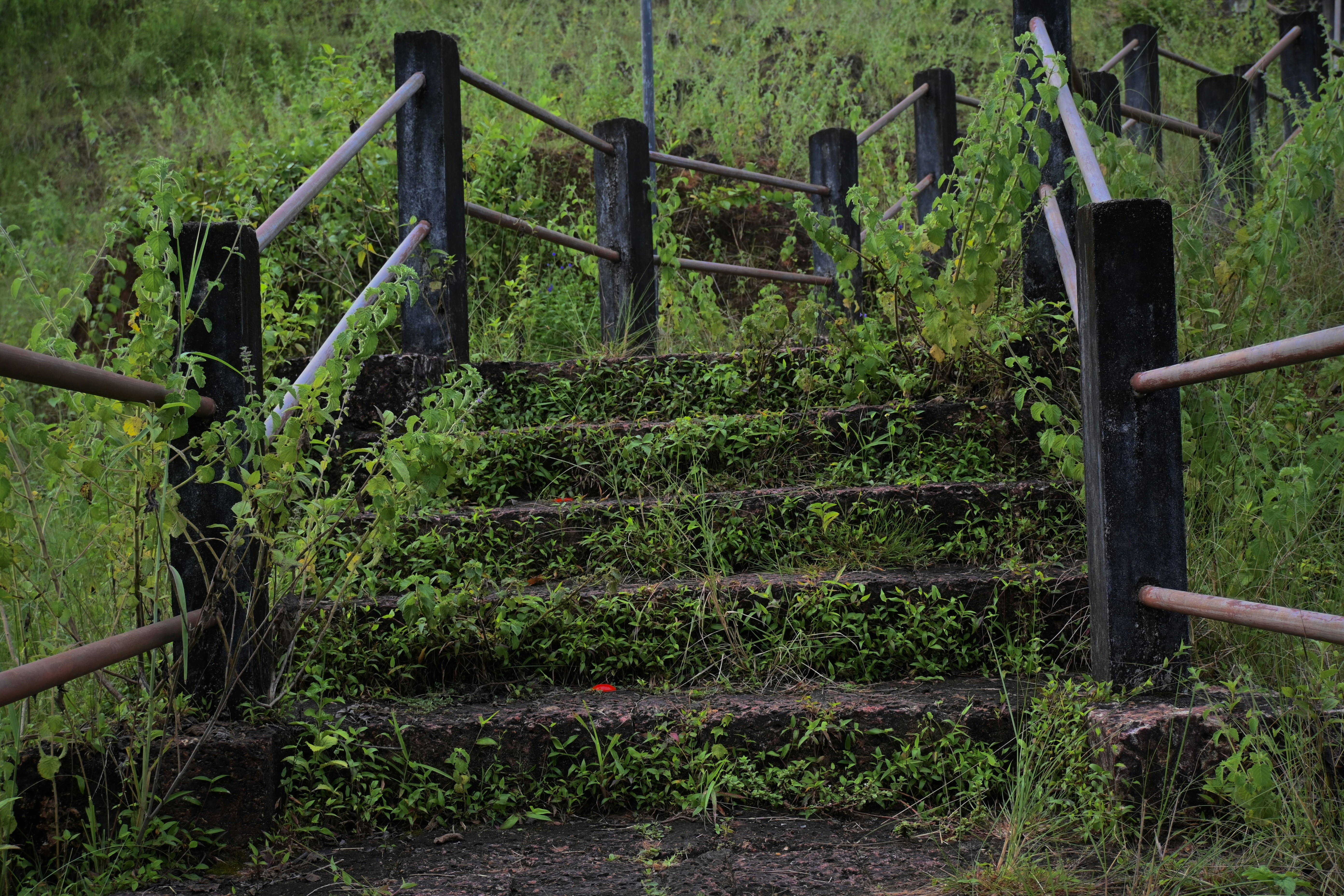 Photo by praswinprakashan