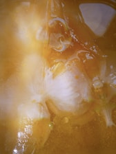 Close-up of translucent starch-based bioplastic pellets glowing under soft lab lighting.