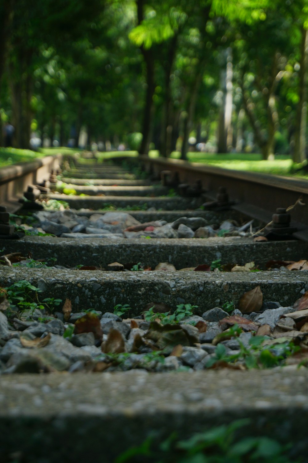 a train track with leaves on the ground