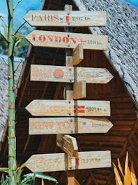 Wooden directional signpost with distances to various destinations such as Paris, London, Mars, Bergen, and New York. Flags of respective countries are shown alongside the text. The background features rustic thatched roofing and lush greenery.