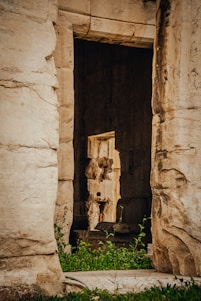a door in a stone building with a plant growing out of it