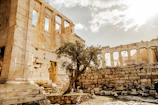 Ancient ruins nestled among olive trees in Tunisia.