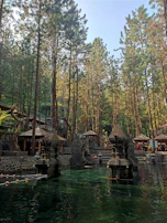 A peaceful baptism ceremony by the springs with gentle water and surrounding trees.