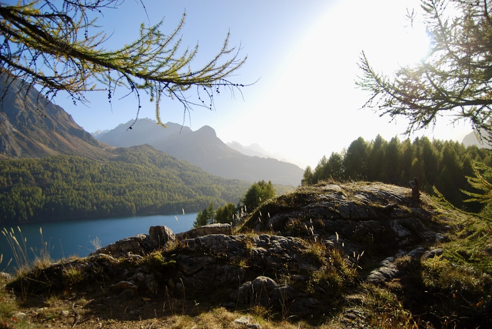 a view of a lake and mountains from a hill