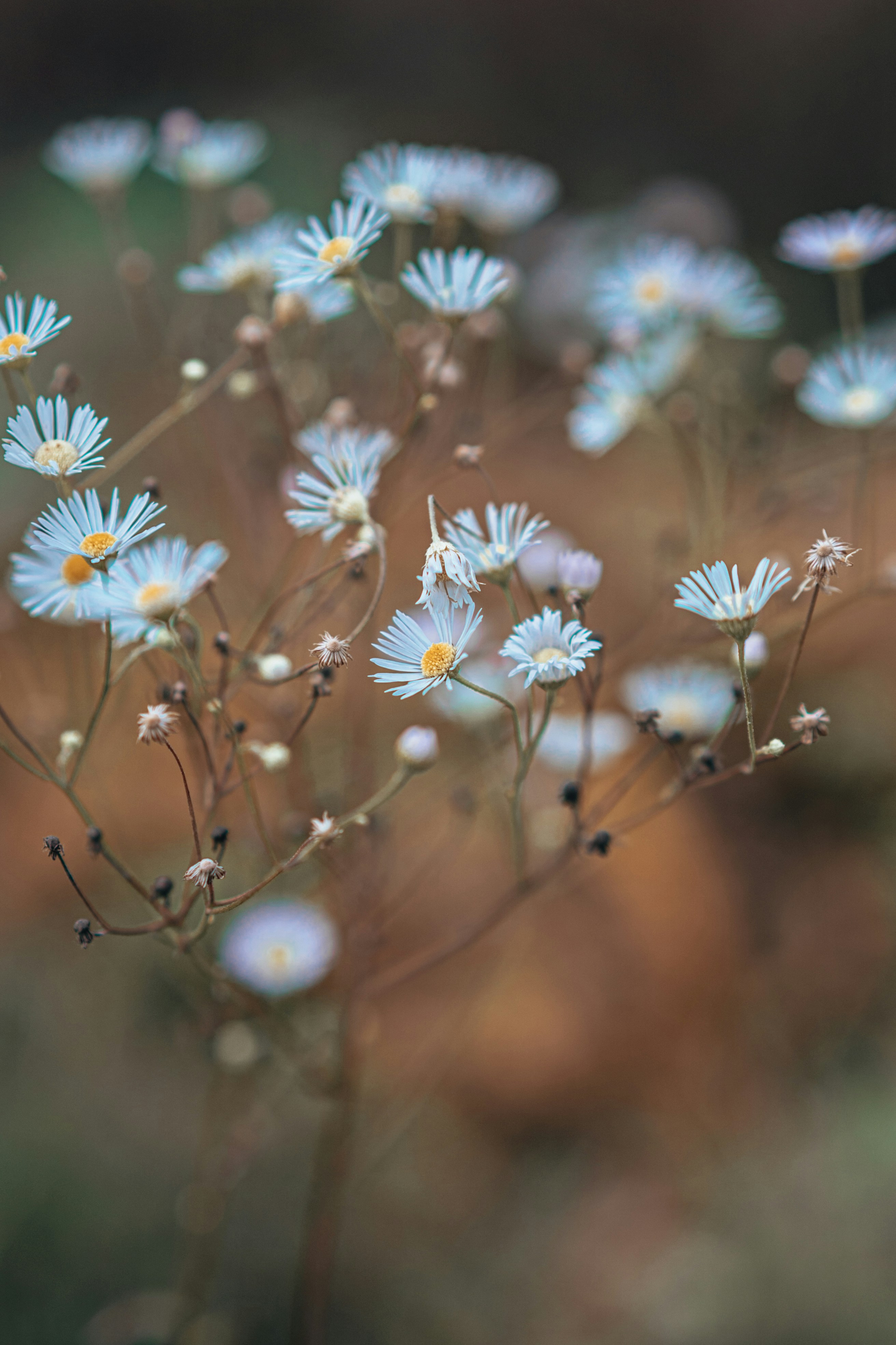 Photo by anamnesis33