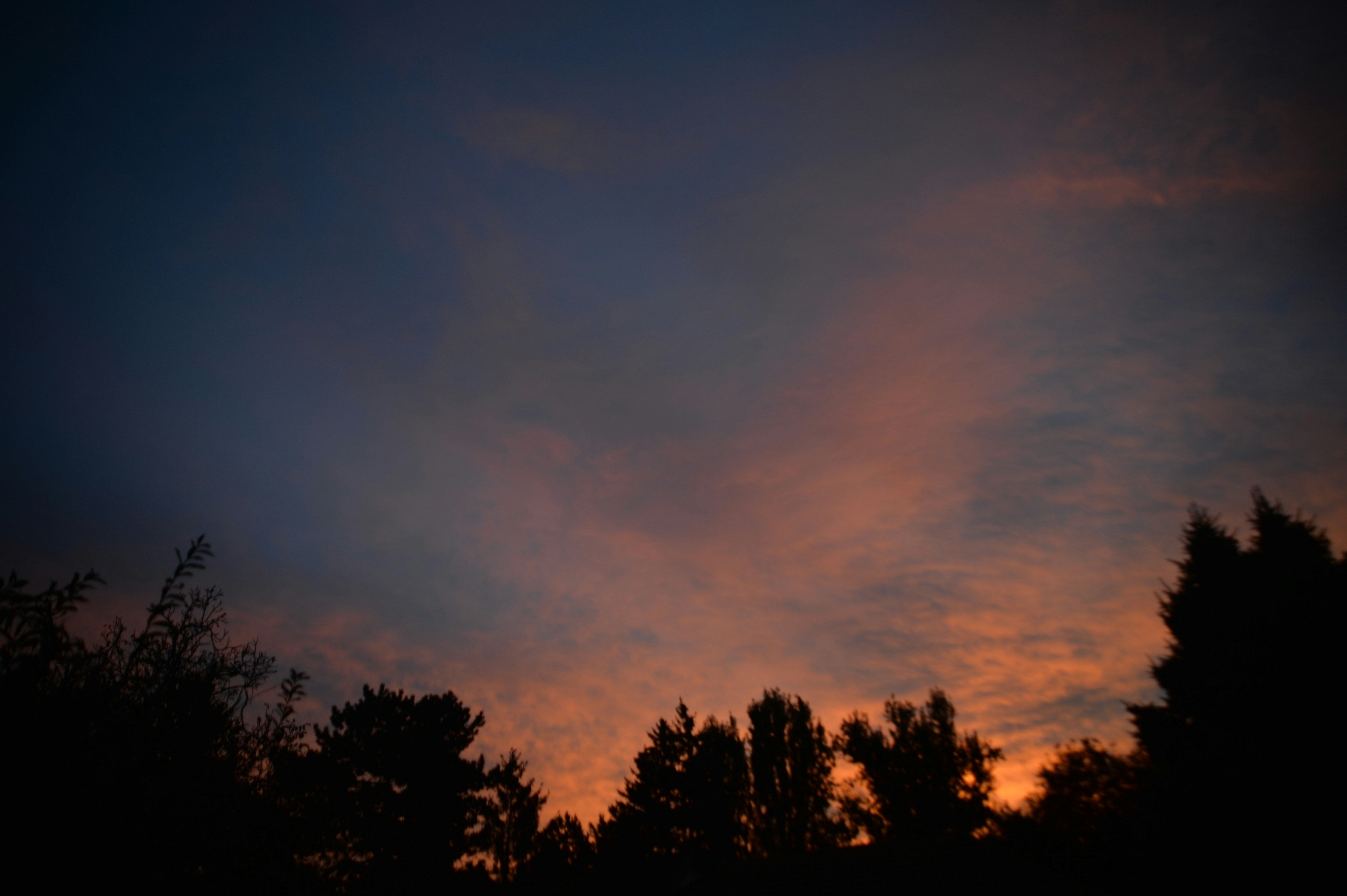 Photo by baliko_andras