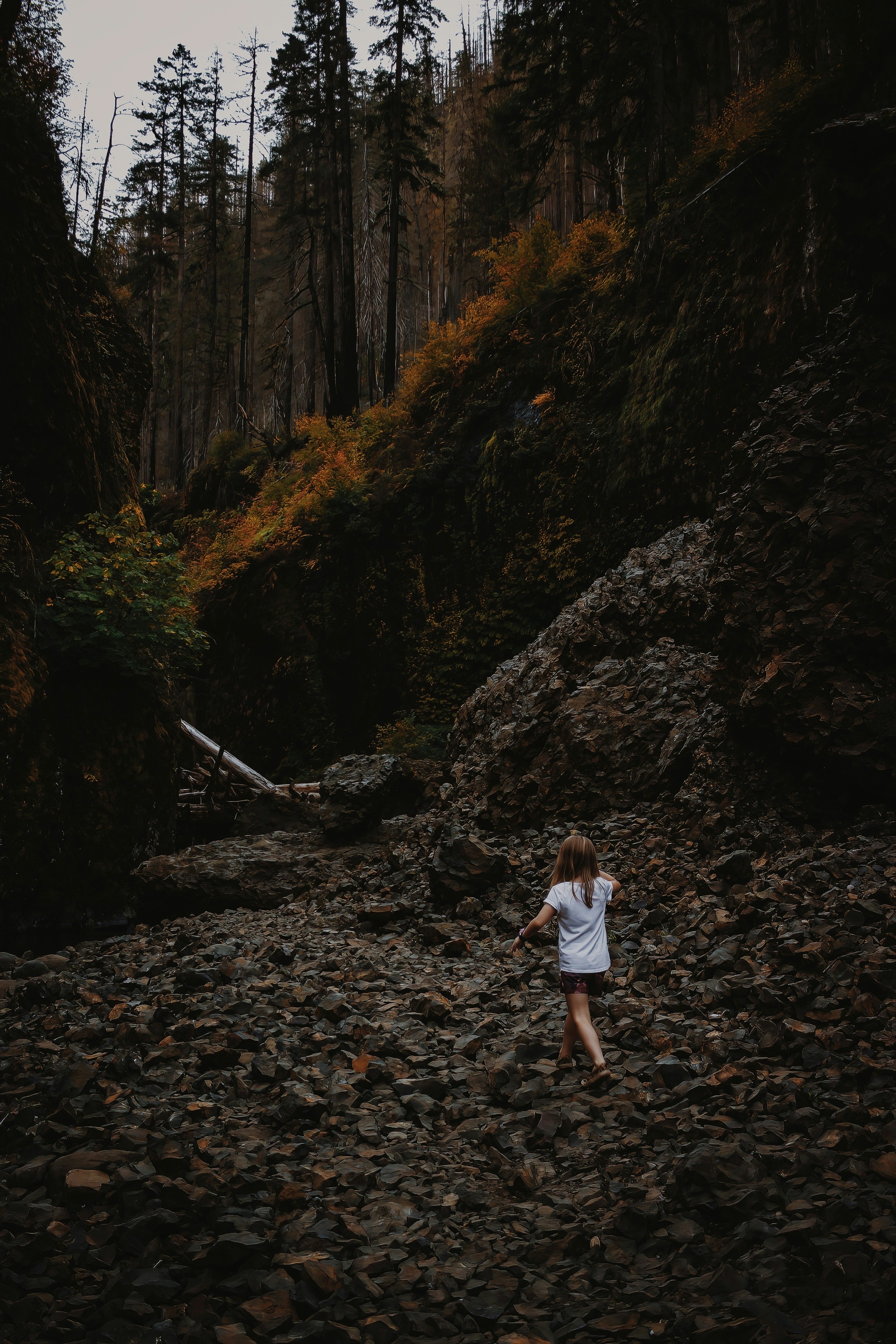 Photo by zachlez