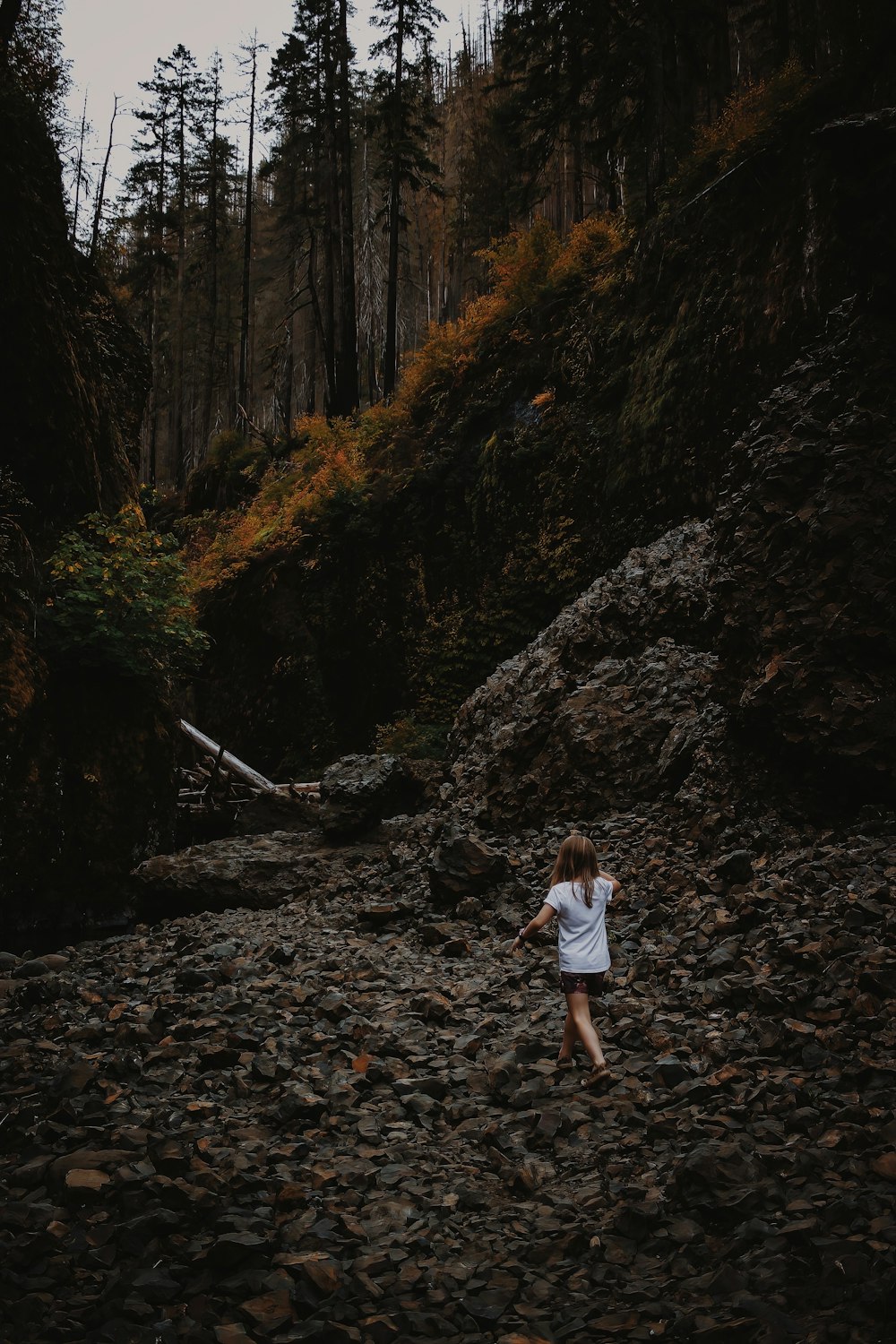 una donna in piedi sulla cima di una collina rocciosa