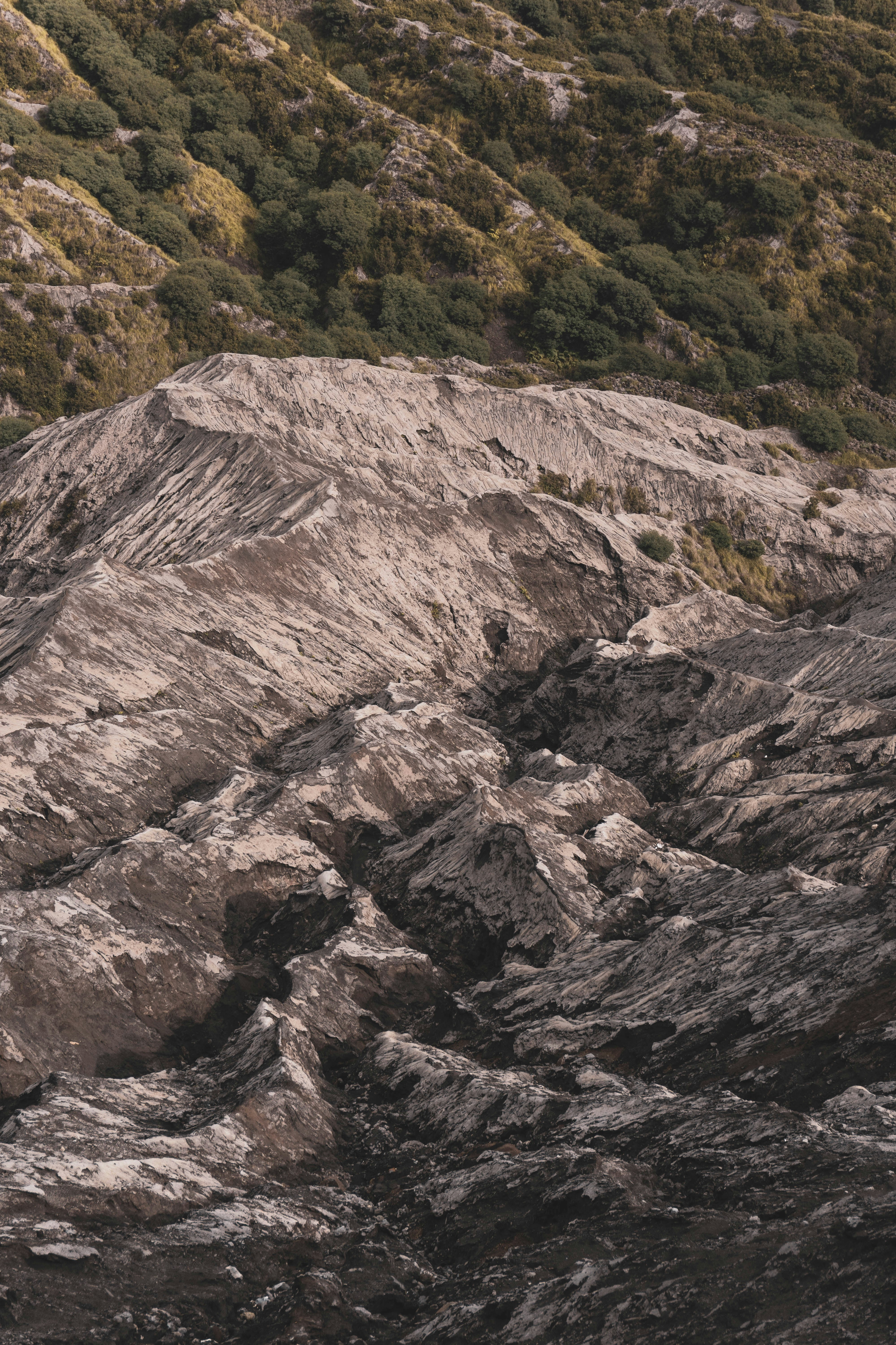 a bird is perched on a large rock
