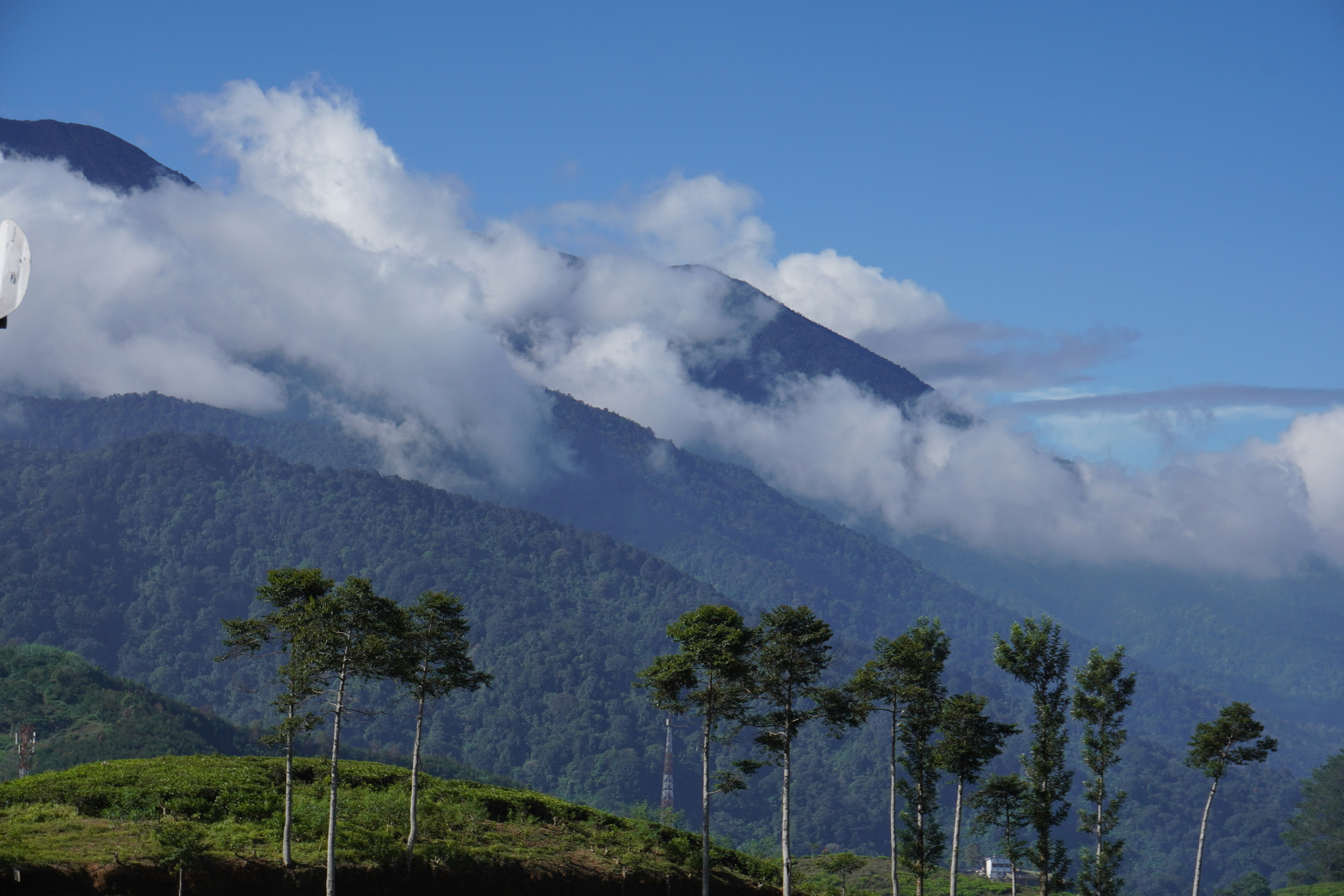 Photo by syafiqmalikk_