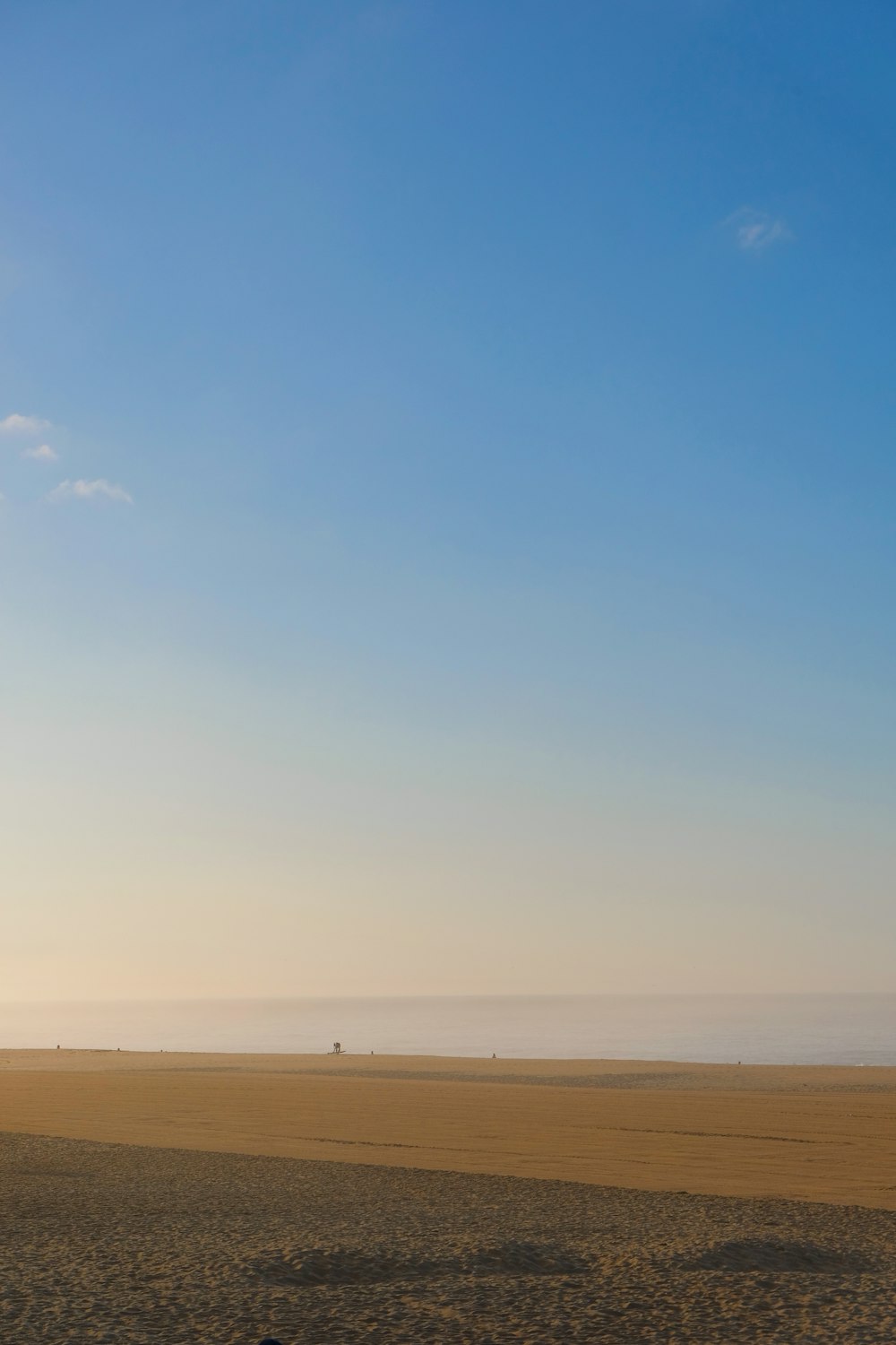 a person is flying a kite in the desert