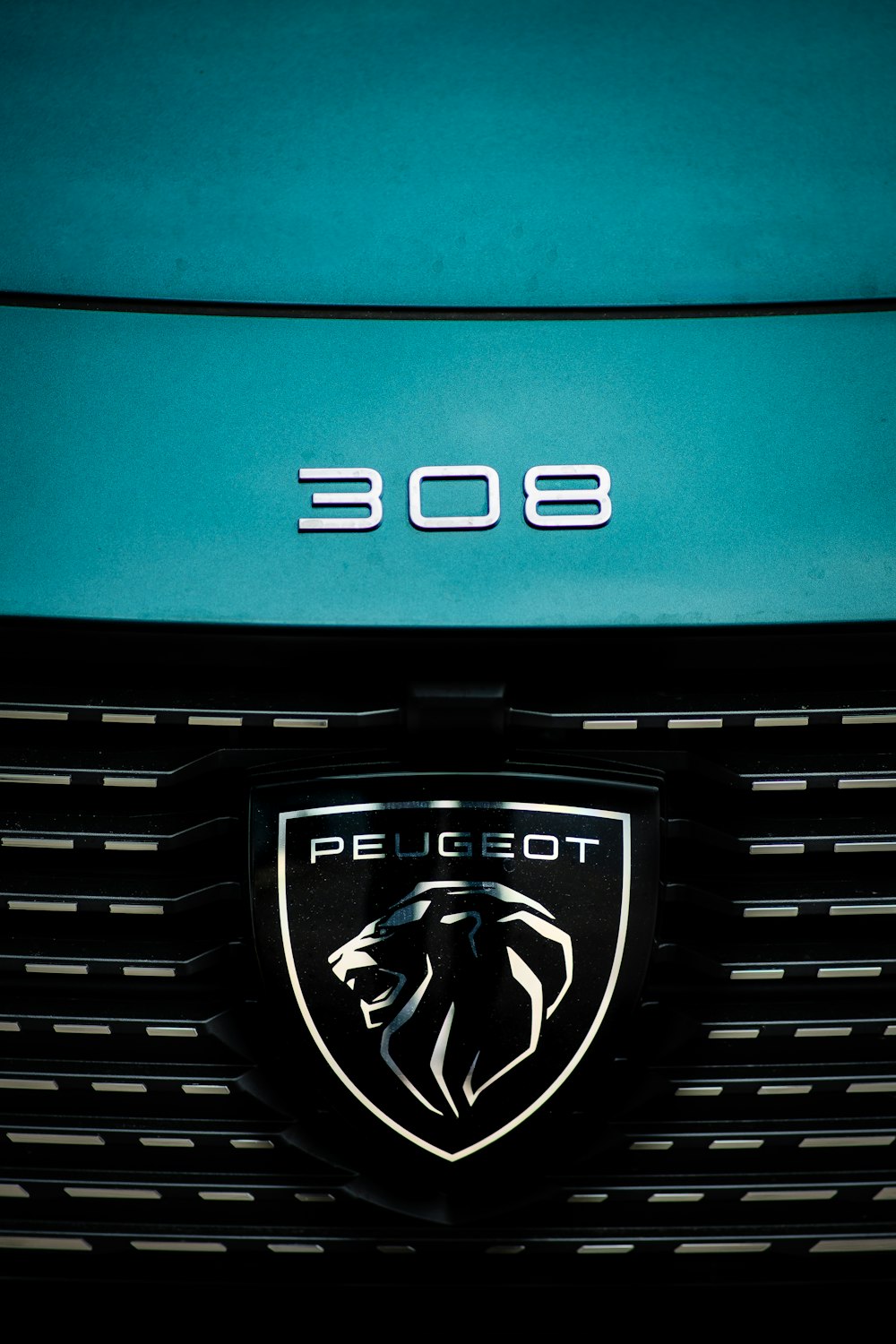 the emblem on the front of a car