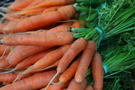 Bright orange carrots bundled together with fresh green tops.