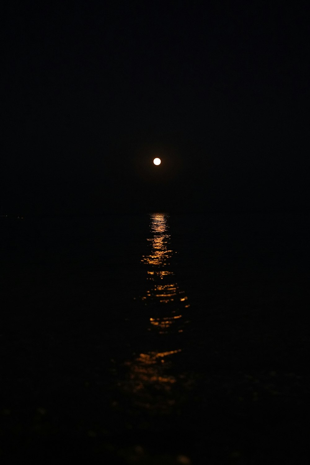 a full moon shining over the ocean at night