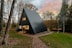 a small black cabin in the middle of a forest