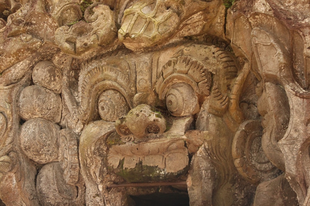 a carving of a lion on a stone wall