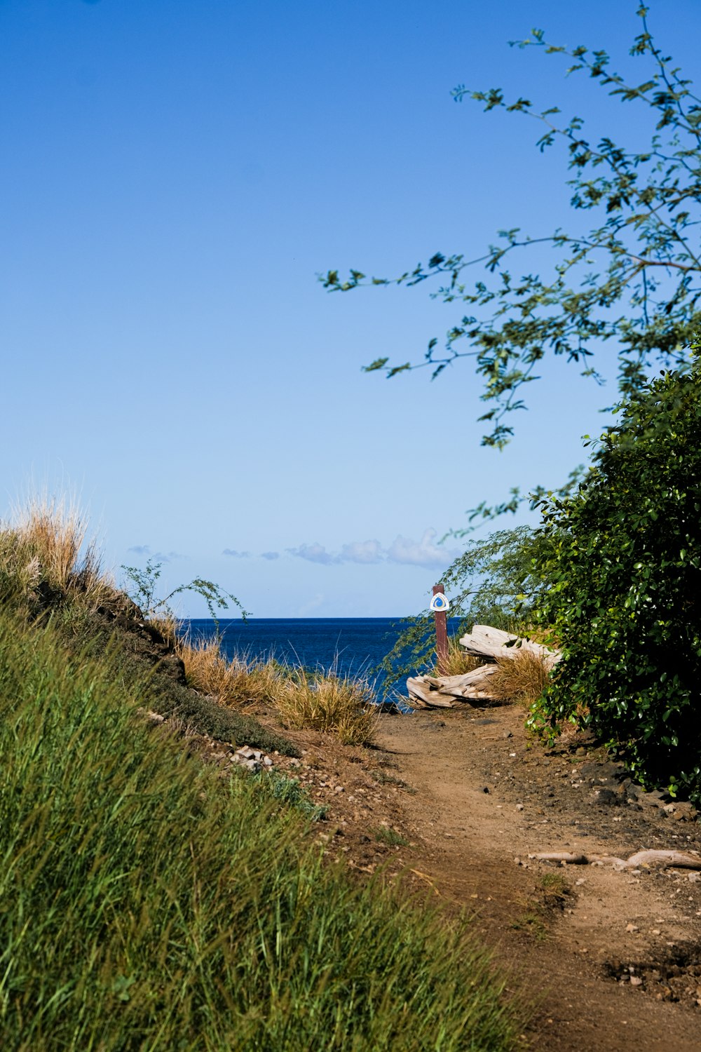 a person standing on top of a hill near the ocean