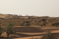 A desert landscape at sunset with a lone camel caravan moving across the dunes.