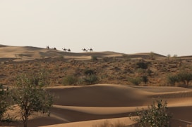 a group of people riding camels across a desert