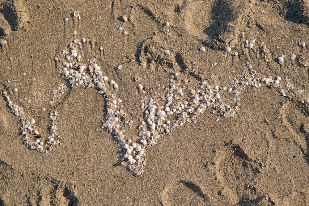 a word written in the sand on a beach