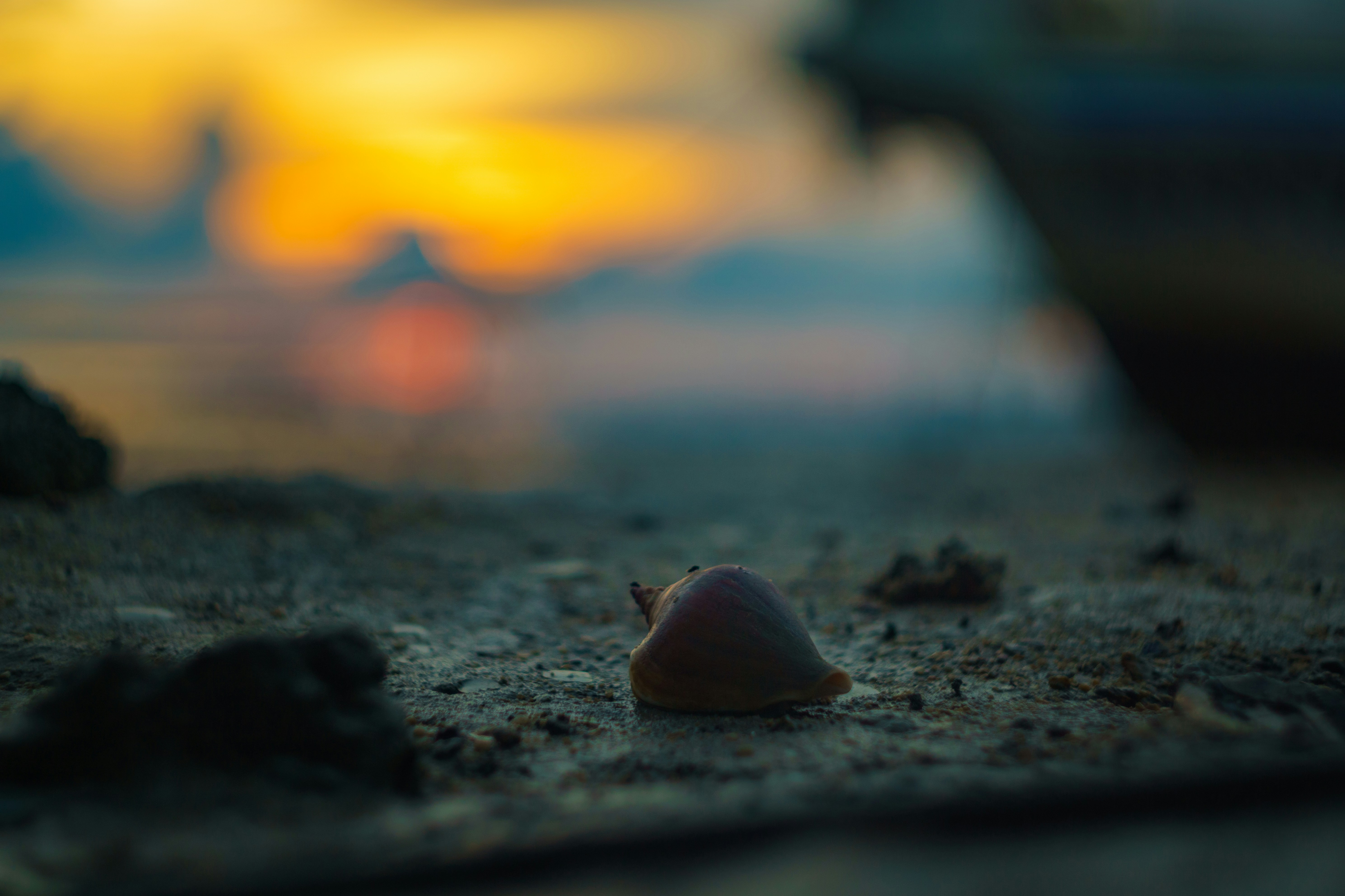Photo by setsj