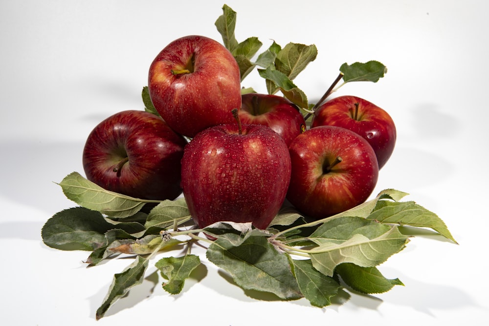 a bunch of apples sitting on top of a leafy branch