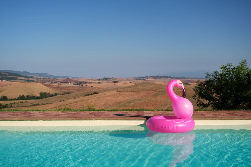 an inflatable pink flamingo sitting in a pool