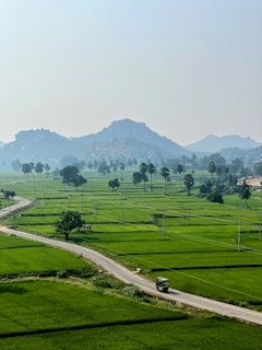 A scenic rural landscape featuring expansive green fields, a winding road, and a small vehicle driving along it. Tall palm trees are sprinkled throughout the fields, and rugged hills provide a backdrop under a clear sky.