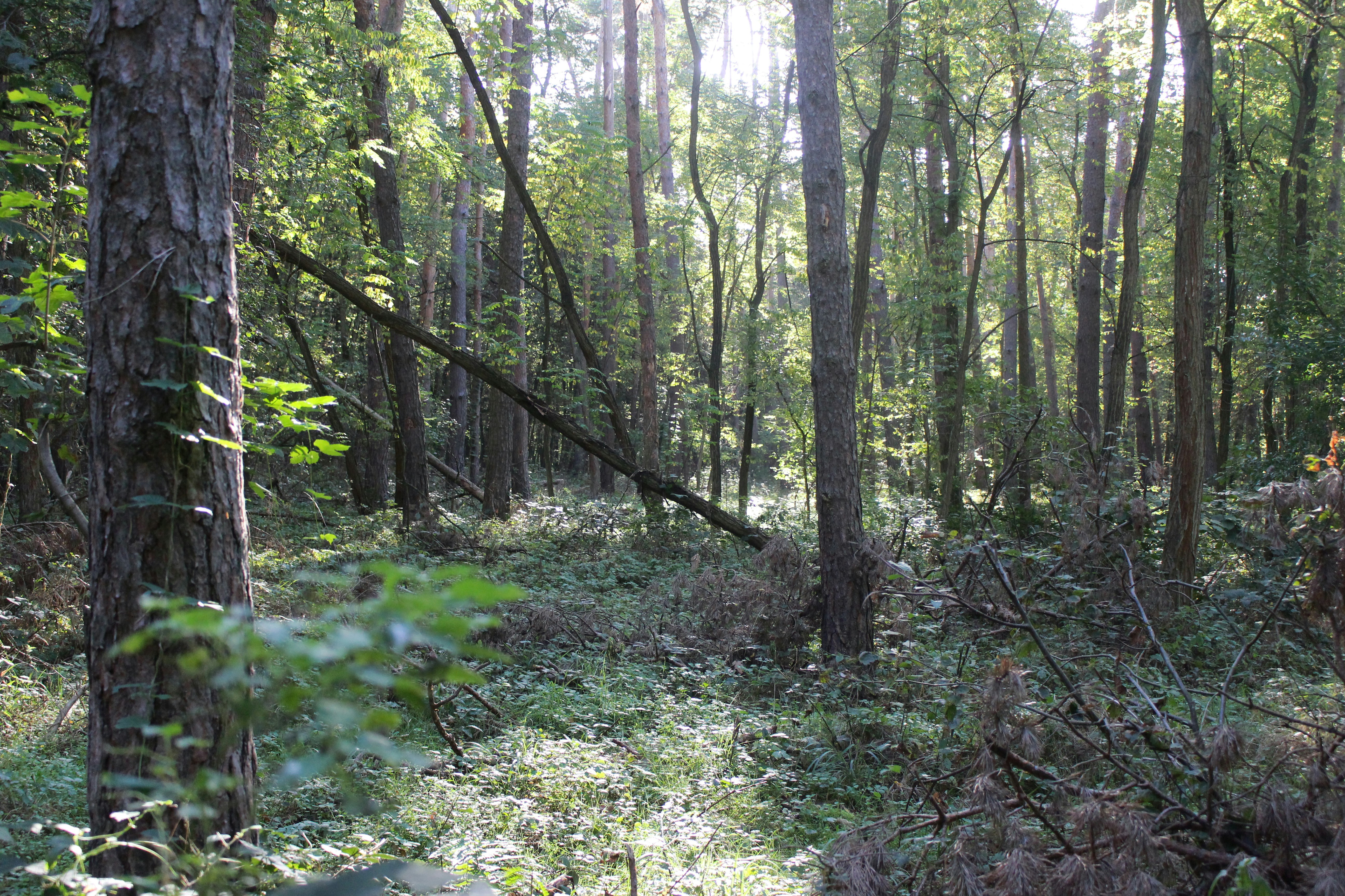 Photo by marjorylucabaxter