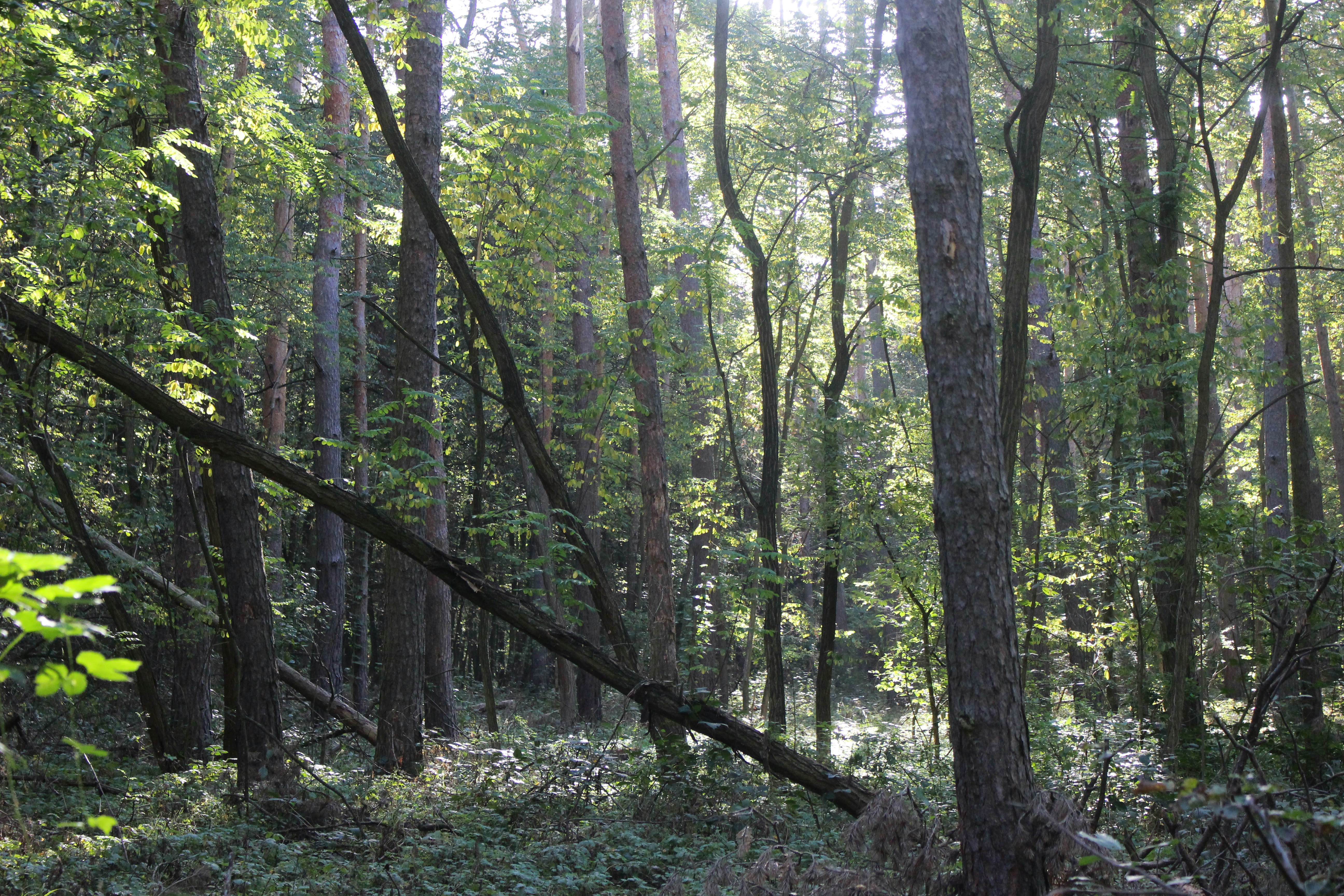 Photo by marjorylucabaxter