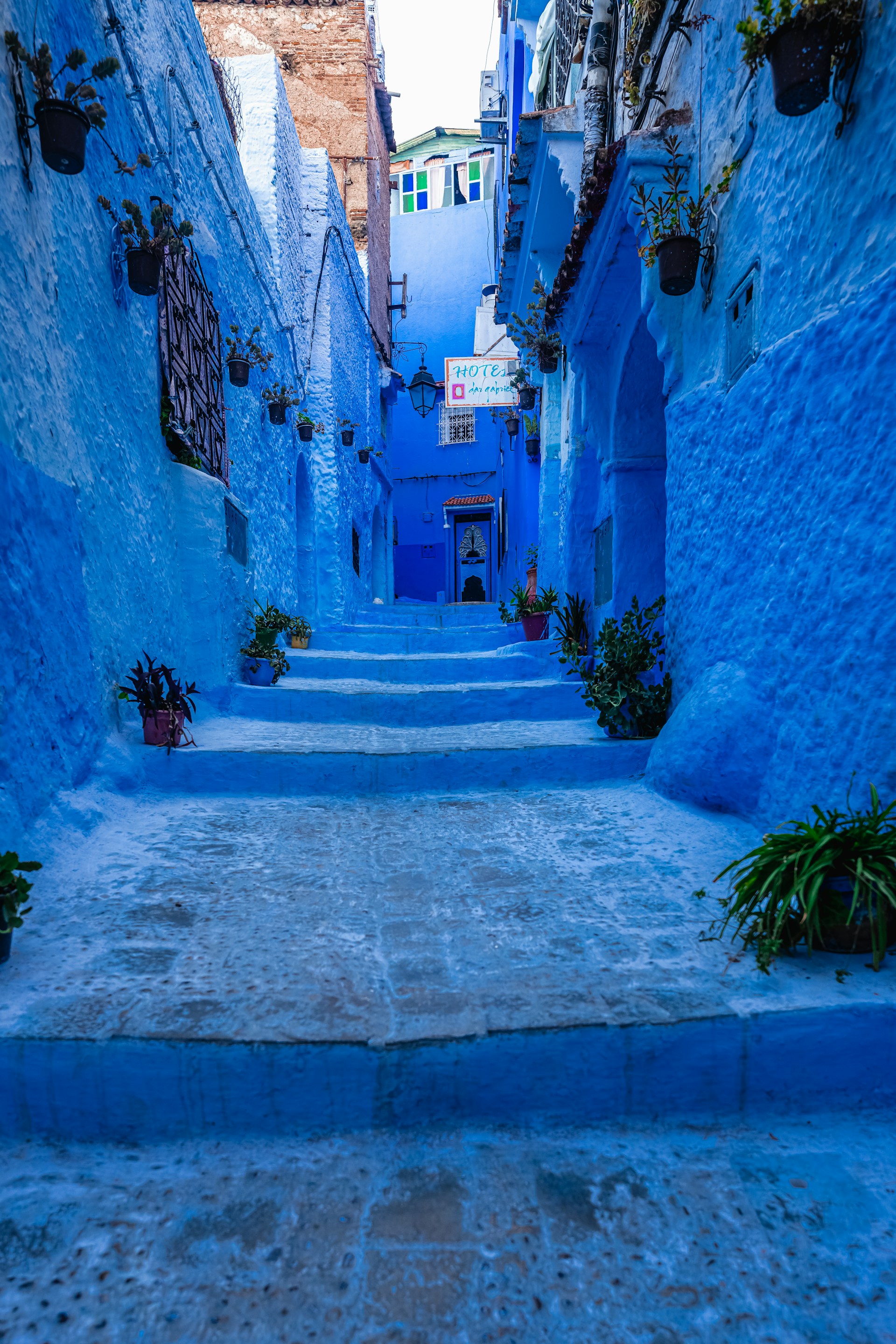 a narrow alleyway with blue walls and potted plants
