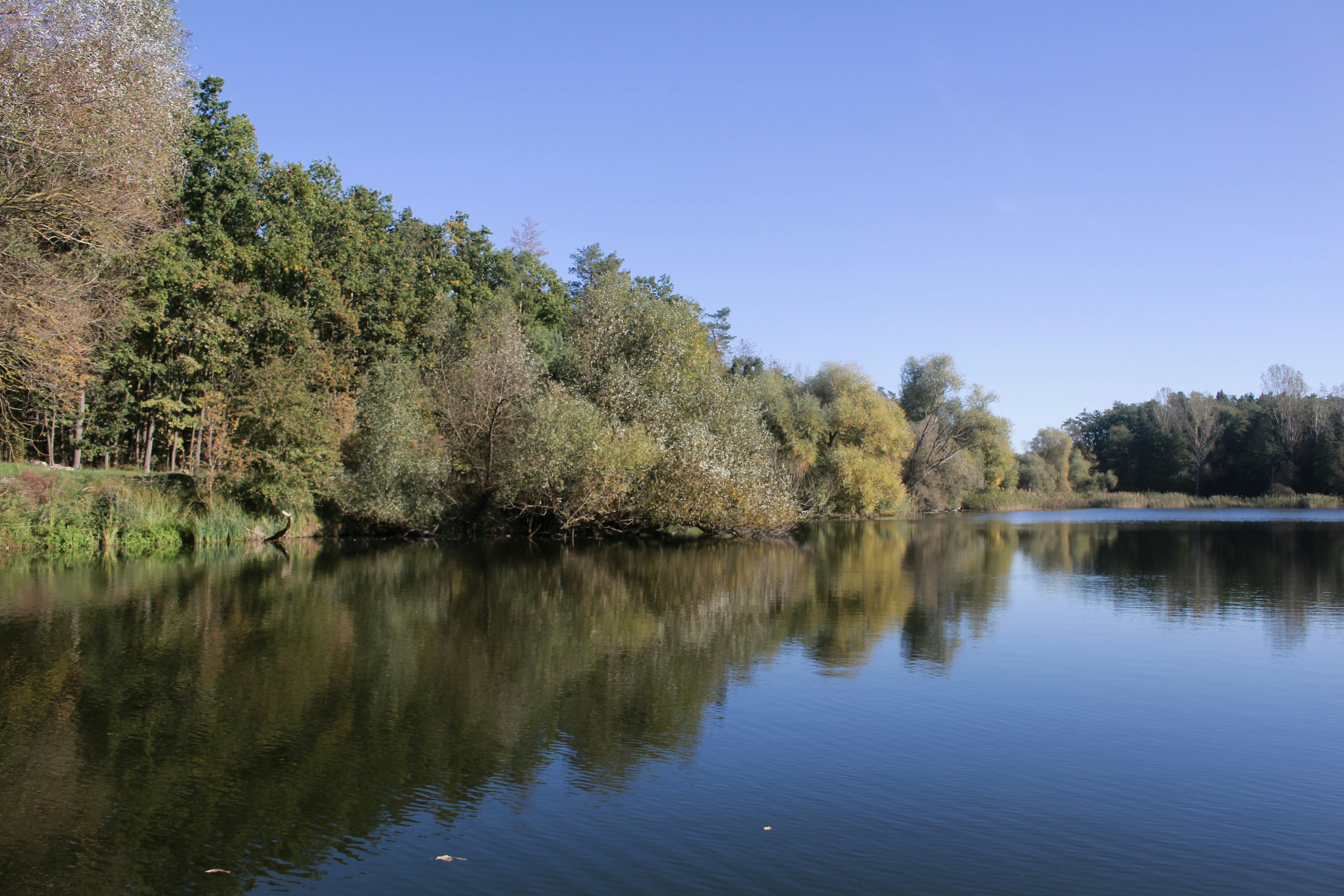 Photo by marjorylucabaxter