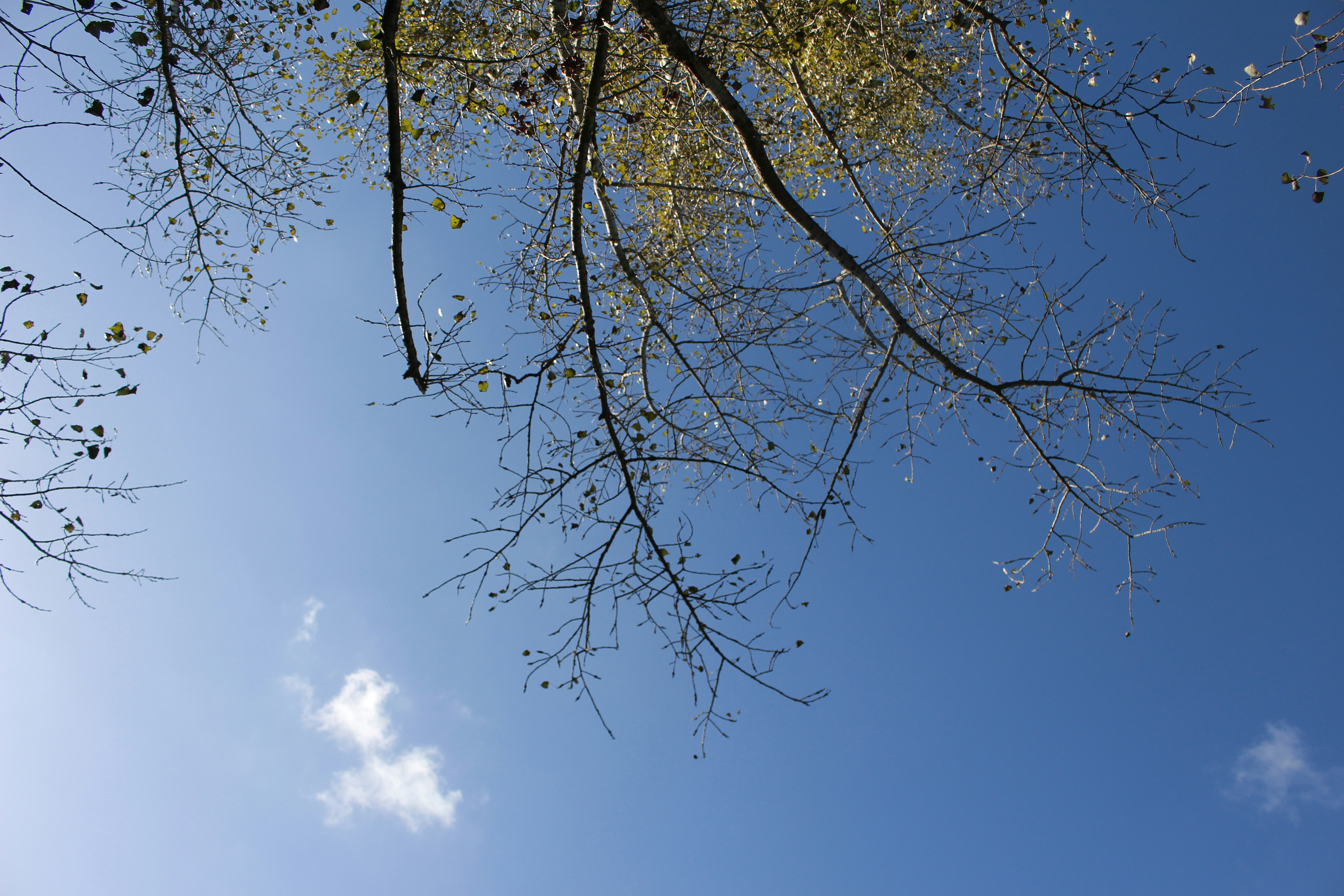 Photo by marjorylucabaxter