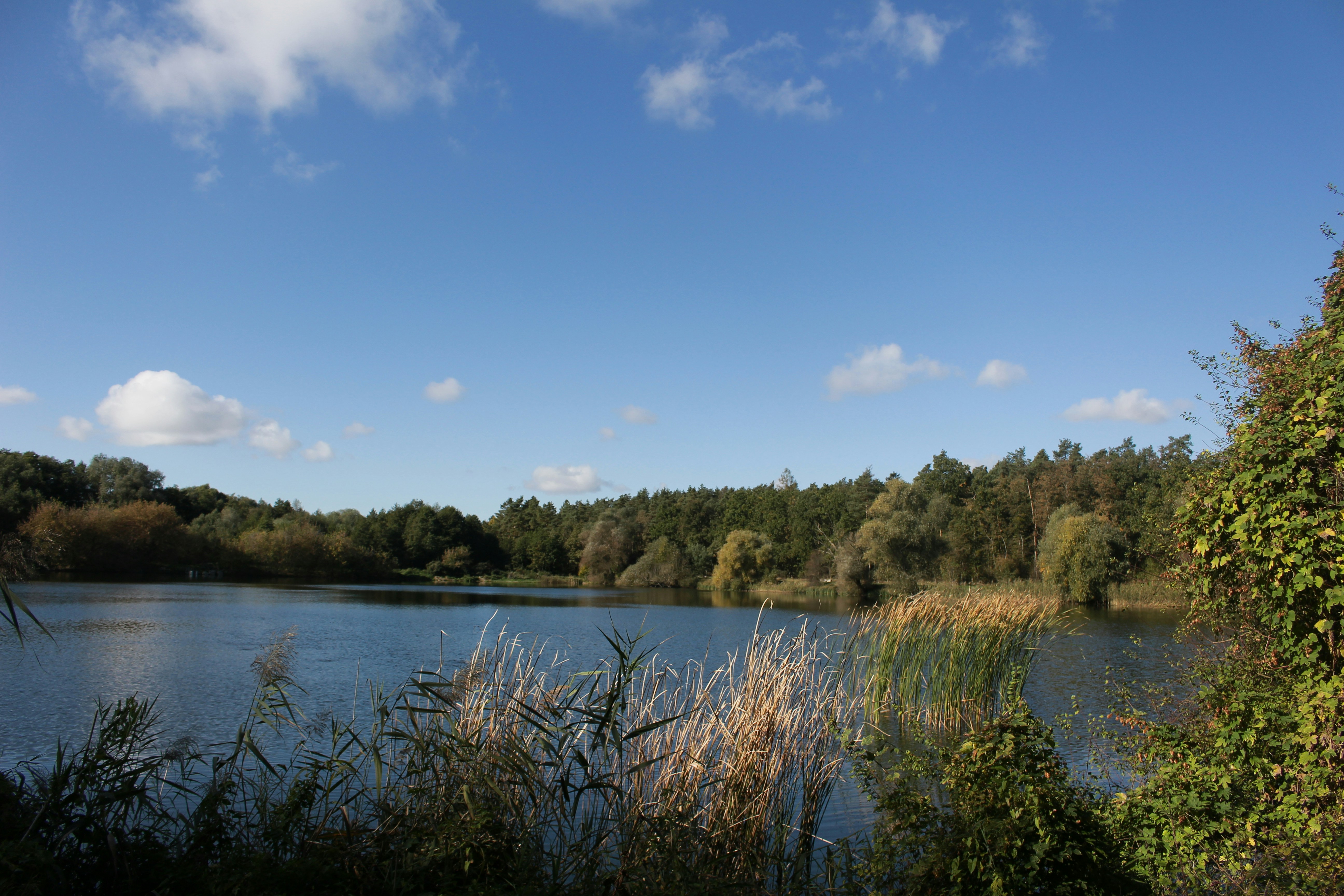 Photo by marjorylucabaxter