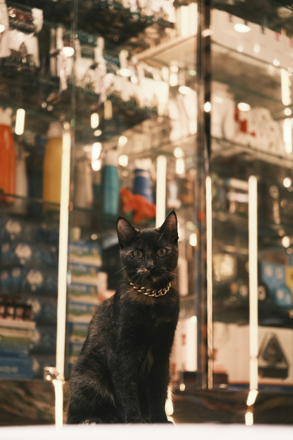 a black cat sitting in front of a store window