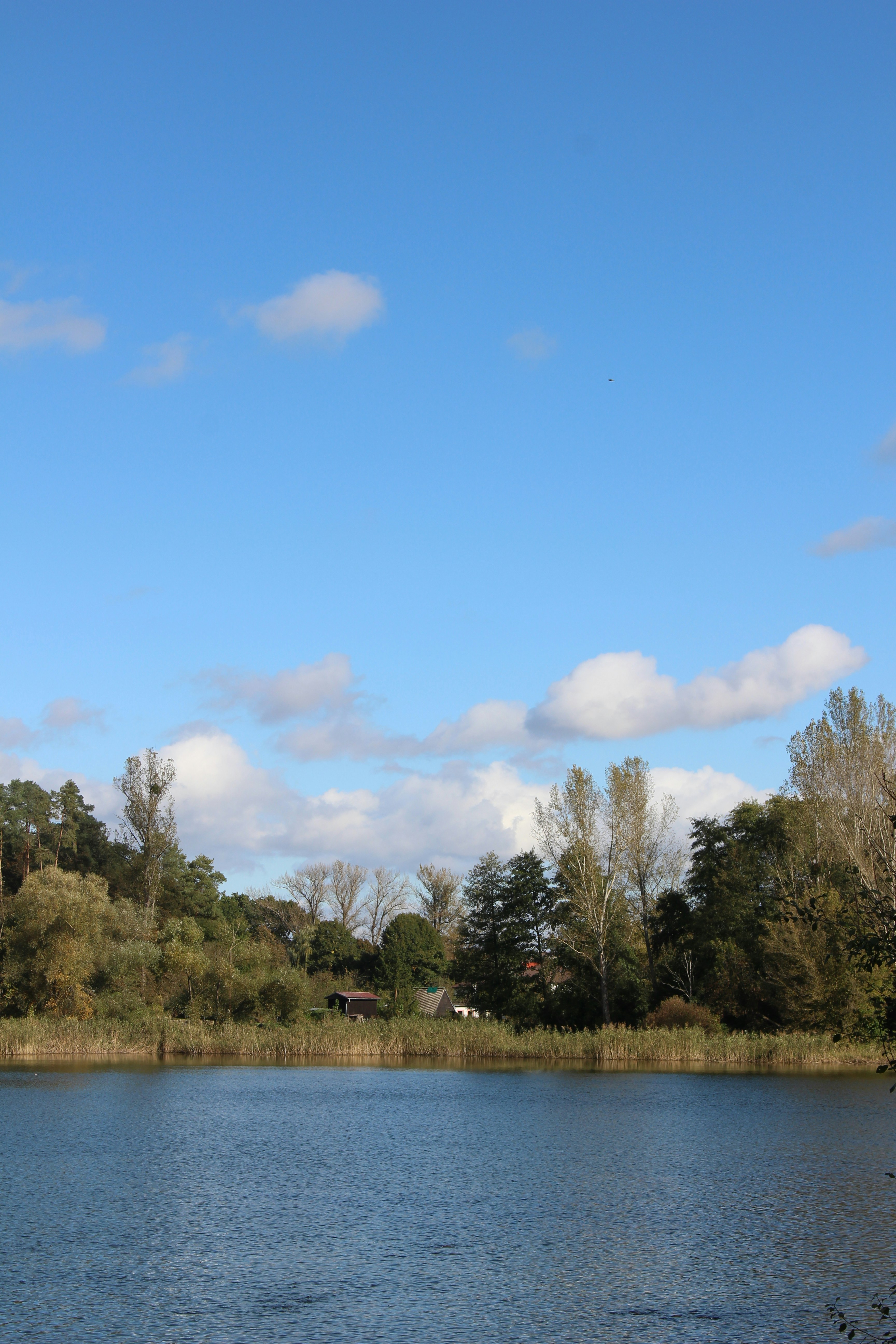 Photo by marjorylucabaxter