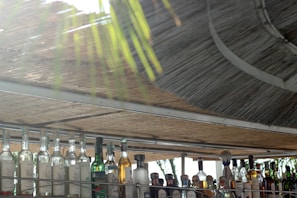 A collection of various liquor bottles lined up in a row on a bar shelf, with sunlight filtering through a bamboo or straw roof above. The scene is partially shaded by leaves, creating a tranquil and relaxed atmosphere.