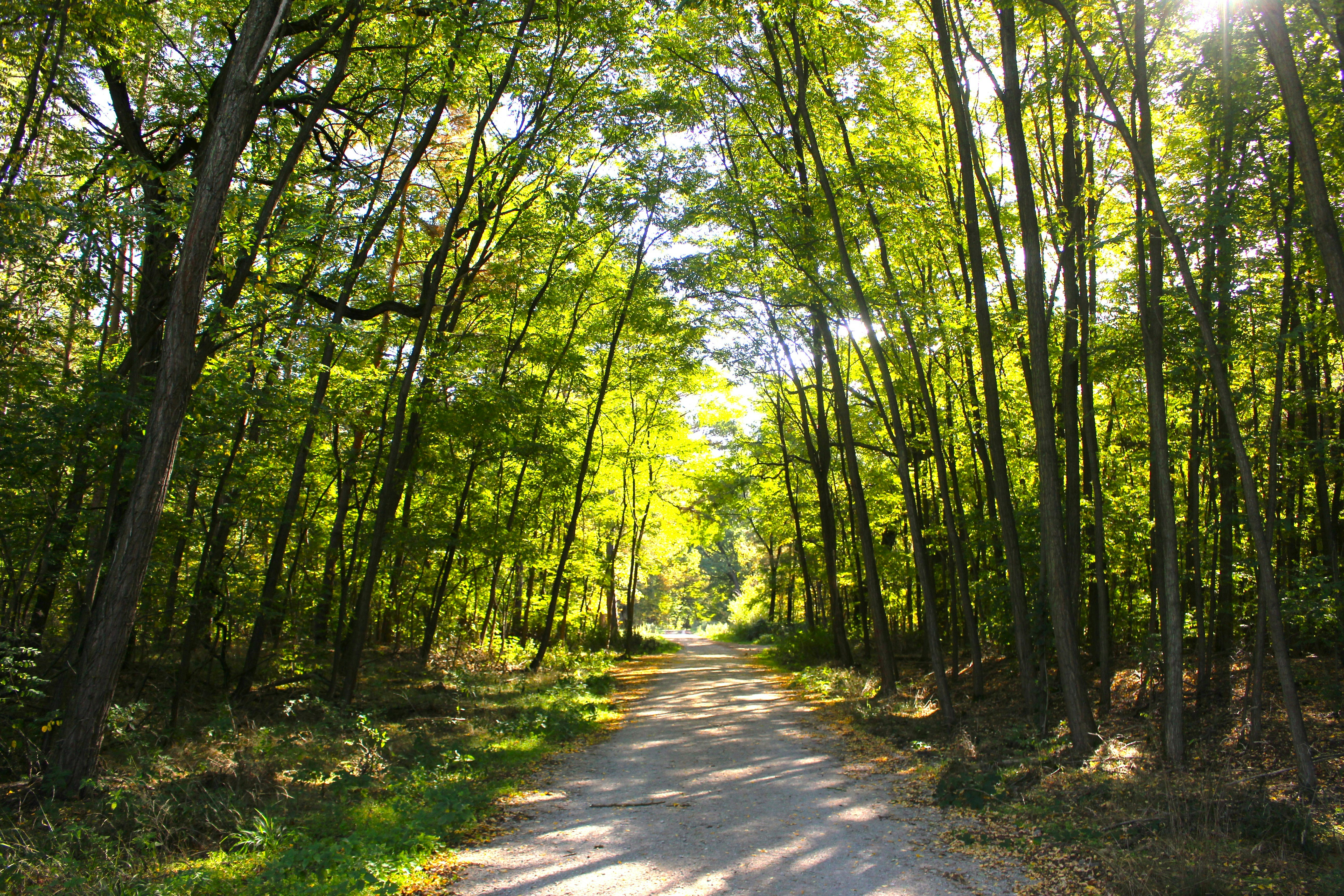 Photo by marjorylucabaxter