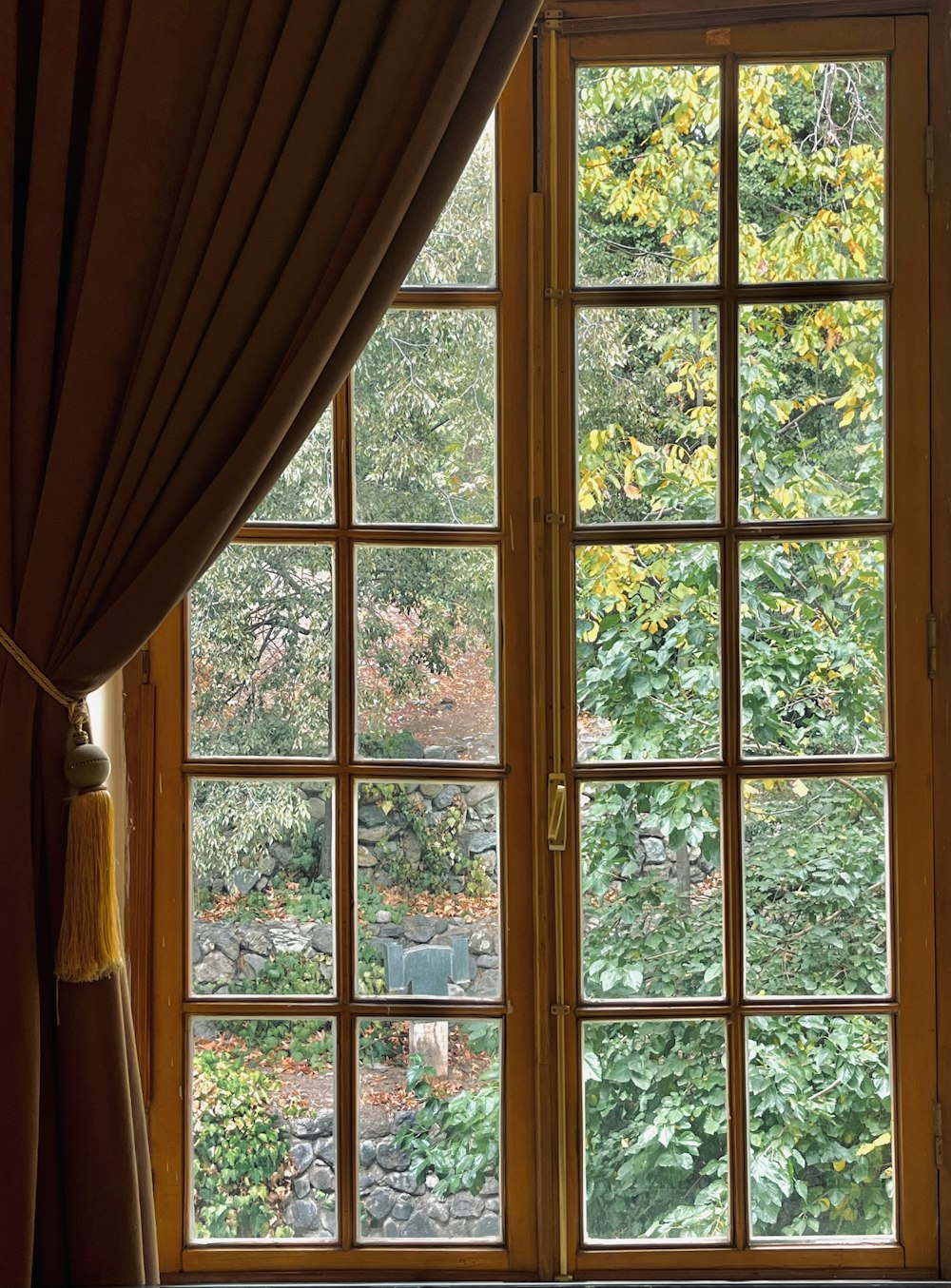 a window with a view of a forest outside