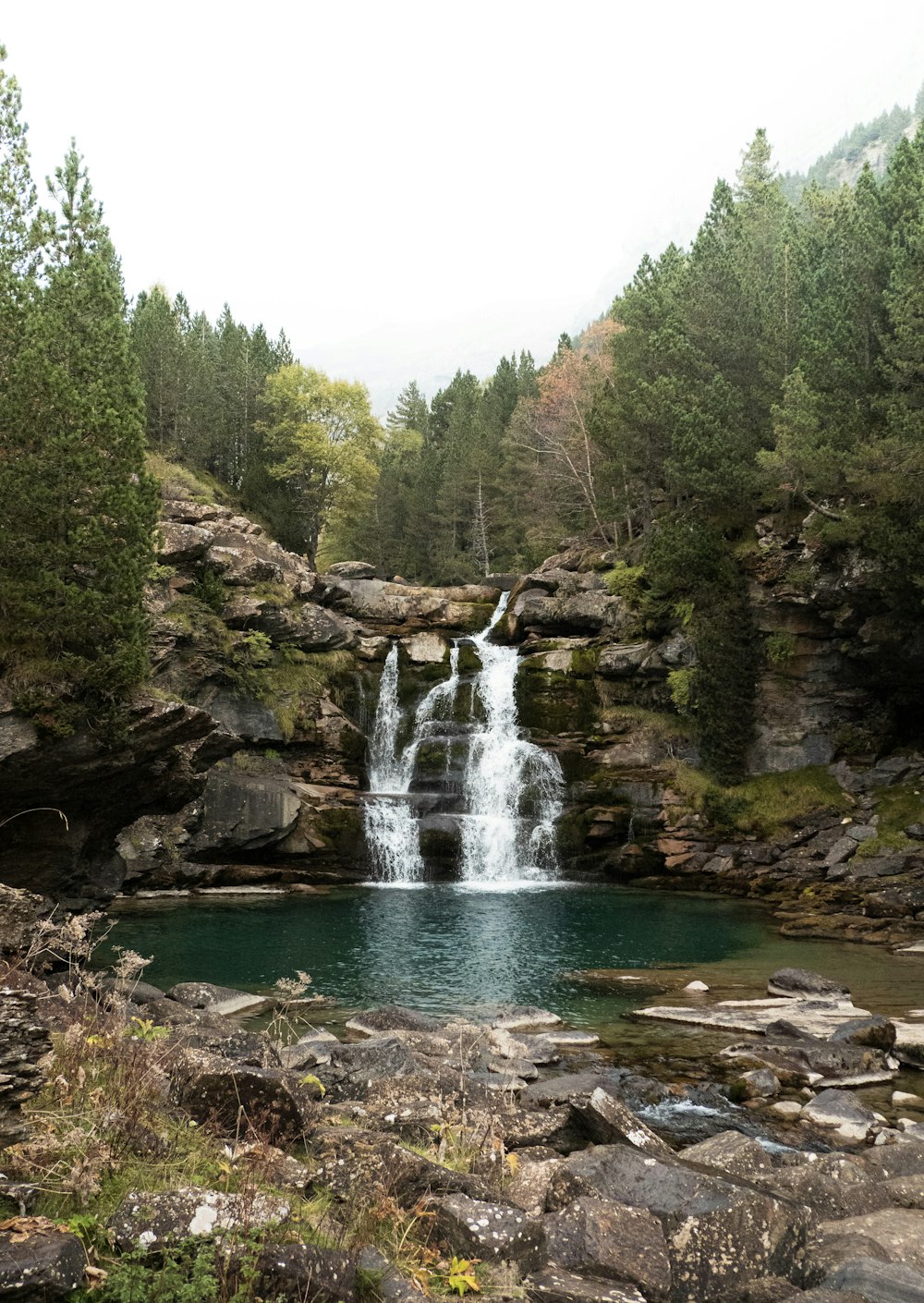 a waterfall in the middle of a forest