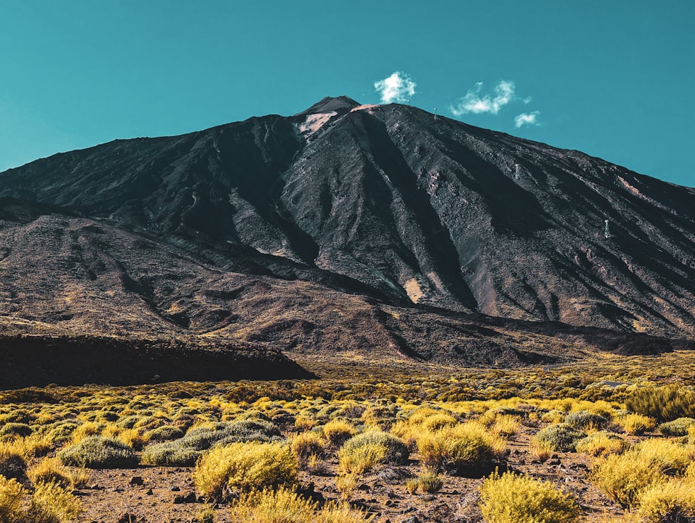 a very tall mountain in the middle of a desert